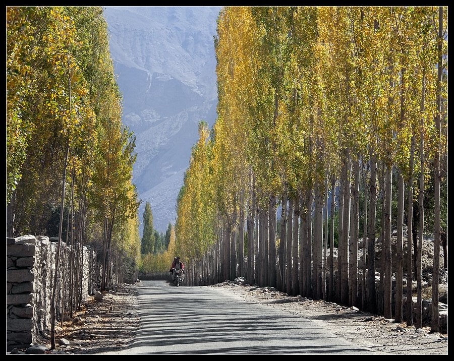 Пакистан, осень 2012 год.